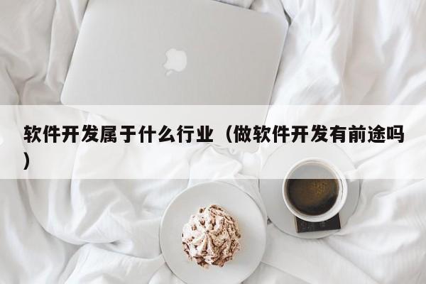 軟件開發(fā)屬于什么行業(yè)(做軟件開發(fā)有前途嗎)